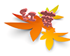 紅葉と葉 - 文字｜イラスト｜無料素材