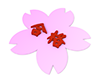 合格文字と桜 - 文字｜イラスト｜無料素材