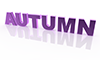 AUTUMN｜オータム - 文字｜イラスト｜無料素材