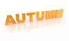AUTUMN｜オータム - 文字｜イラスト｜無料素材