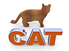 Cat｜キャット - 文字｜イラスト｜無料素材