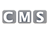 CMS｜シーエムエス/コンテンツ管理システム - 文字｜イラスト｜無料素材